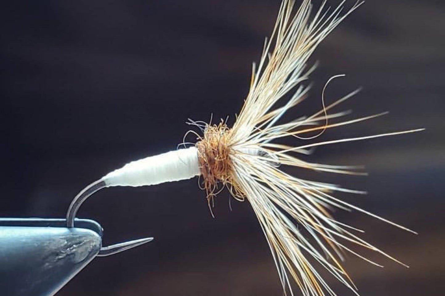 Ikari x Norcal Fly Drop | Batch 02 | Limited Release